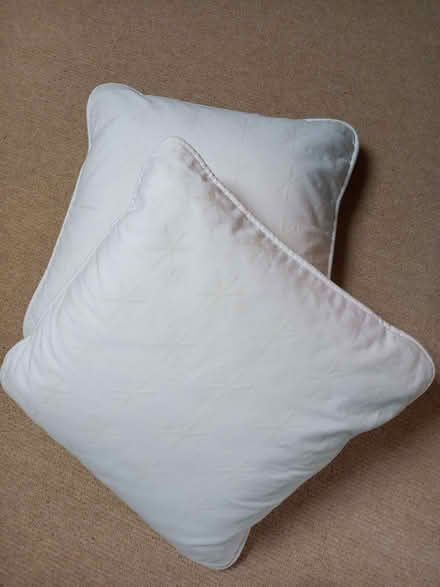 Photo of free Cushions (West Yatton SN14) #1