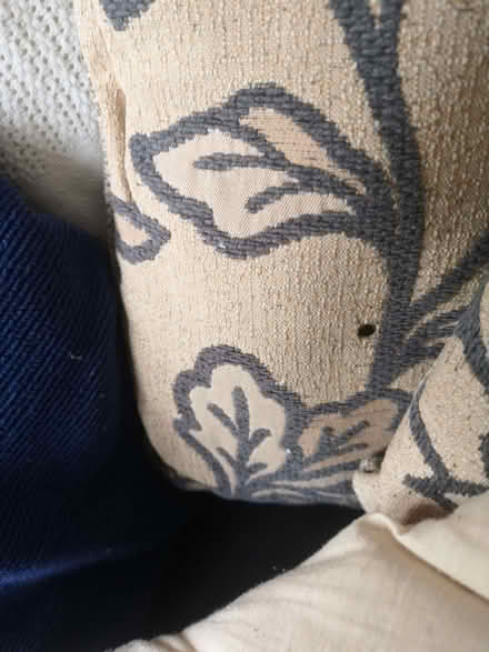 Photo of free Cushions (Canons Corner HA7) #2