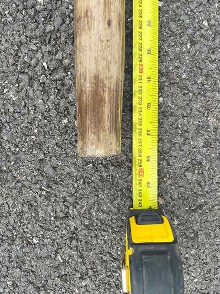 Photo of free Wooden Dinghy Oars (Frome centre BA11) #4