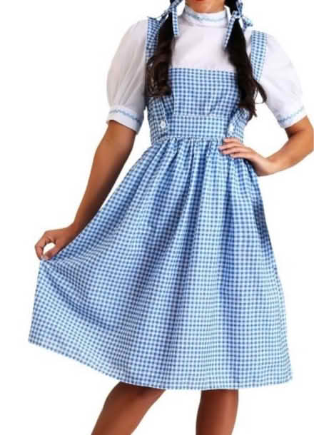 Photo of Dorothy costume (Wizard of OZ) (Rt 62& Rt 38 in Wilmington) #3