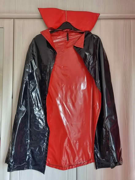 Photo of free Halloween bits & pieces (Hatfield Peverel CM3) #3