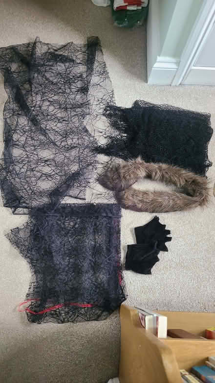Photo of free Halloween dress up props (Curbridge OX29) #1