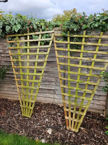 Photo of free Garden fan trellis (Hitchin SG4) #1