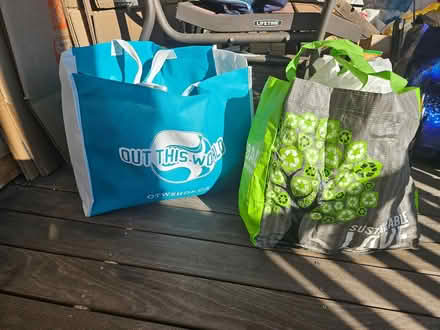 Photo of free reuseable bags (Roxbury) #1