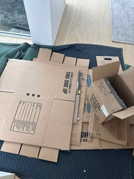 Photo of free Moving Boxes/Paper (Pebble Beach near Peter Hay) #3