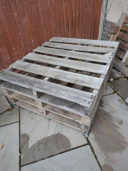 Photo of free Wooden Pallets on wheels (W3) #1