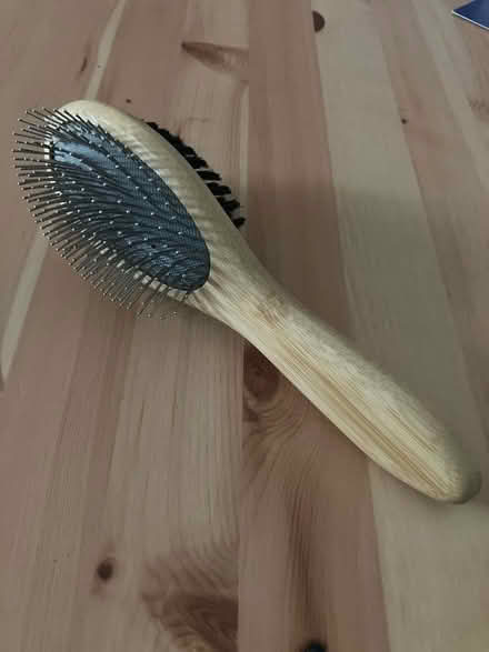 Photo of free Double sided dog brush (Okehampton) #1