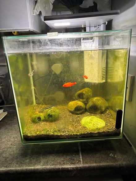 Photo of free Fish tank (Clevedon BS21) #1