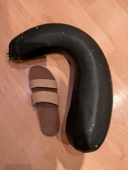 Photo of free 5kg marrow (CT1) #1