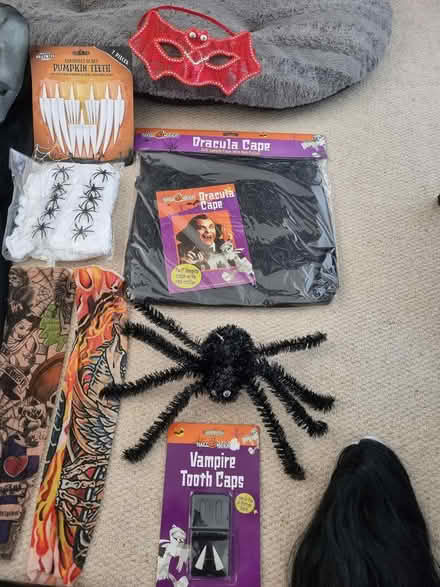 Photo of free Halloween bits & pieces (Hatfield Peverel CM3) #2
