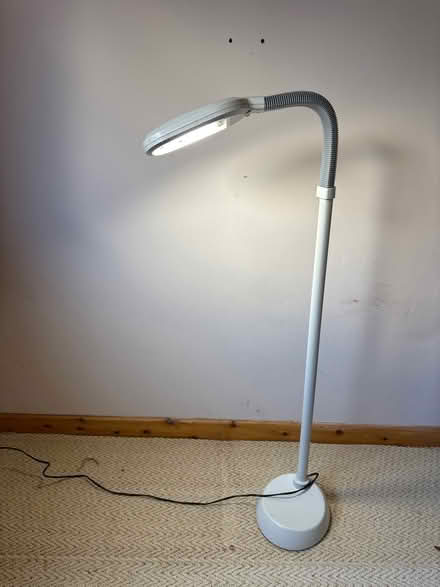 Photo of free Tall lamp, flexible head (Shotesham-All-Saints) #2