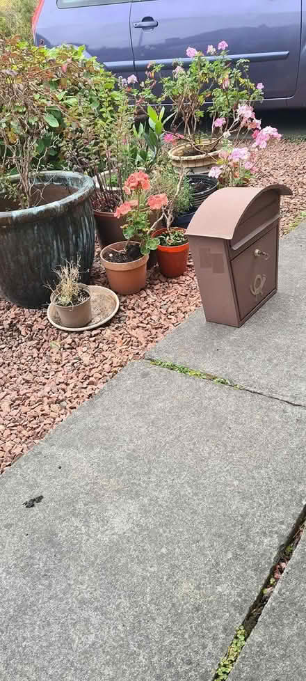 Photo of free External mail box (Colinton EH13) #2