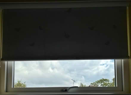 Photo of free Brand new blackout blind 1.19x0.88m (Sevenoaks TN13) #2