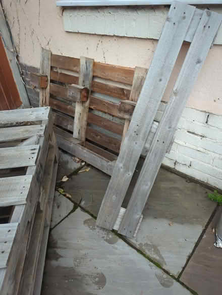 Photo of free Wooden Pallets on wheels (W3) #3
