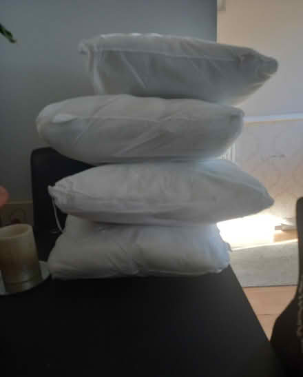 Photo of free Cushion infills (SS15) #1