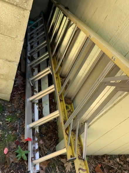Photo of free 2 ladders (Lexington) #1