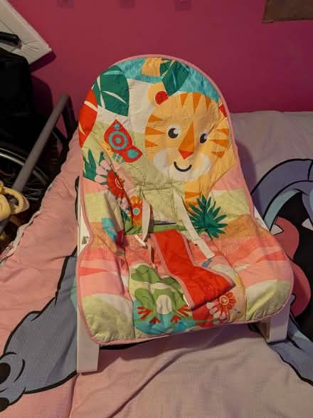 Photo of free Baby bouncer (Wollaton NG8) #1