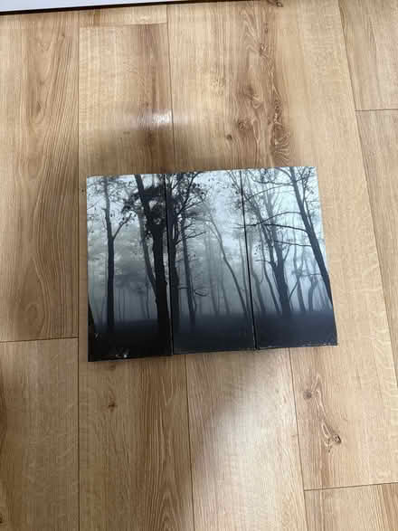 Photo of free Canvas art work (L4) #1