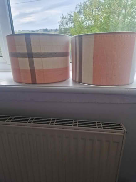 Photo of free Coloured Lamp Shades (HX3) #2