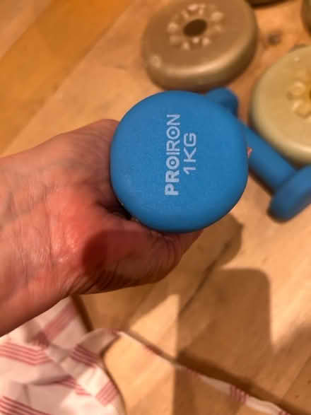 Photo of free Dumbell’s and free weights + book (Clapham Junction SW11) #4