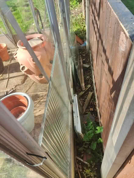 Photo of free Greenhouse panes/panels (Derby DE24) #3