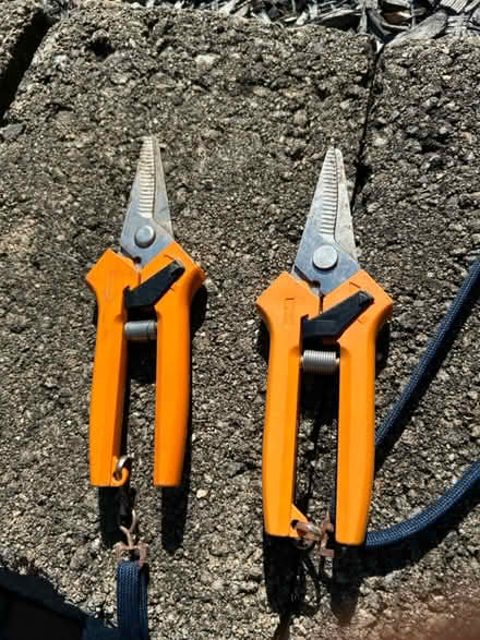 Photo of free Serrated shears (Pepperell) #1