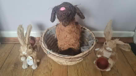 Photo of free Garden items (Crumlin) #1