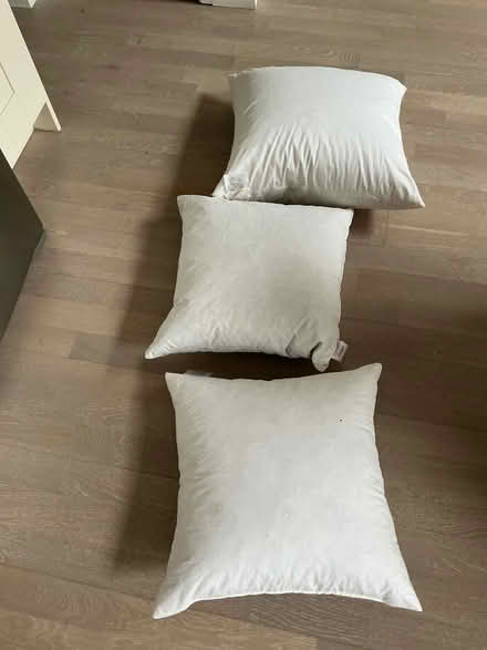 Photo of free 3 x Feather Cushion Pads (Sidcup DA14) #1