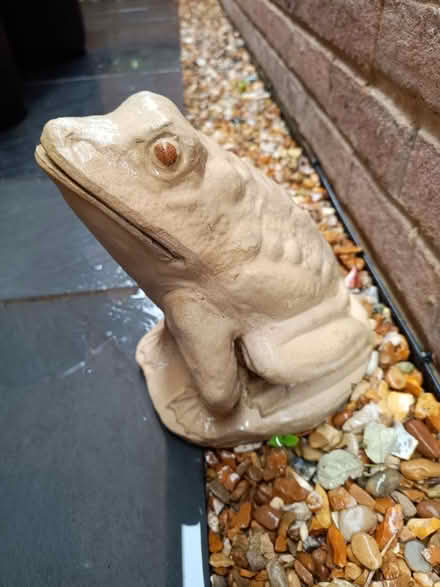 Photo of free Frog decorative ornament (LU7 Leighton Buzzard) #2
