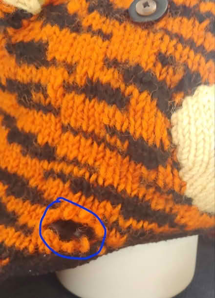 Photo of free Adorable tiger beanie (Sunnyvale 94087) #2