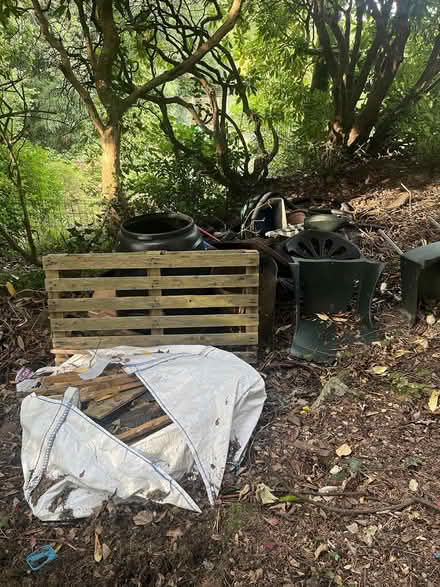 Photo of free Bag off Wood cuts also got a fence panel (Broomgrove TN34) #1