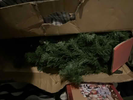 Photo of free Plastic small Christmas tree (NW10) #2