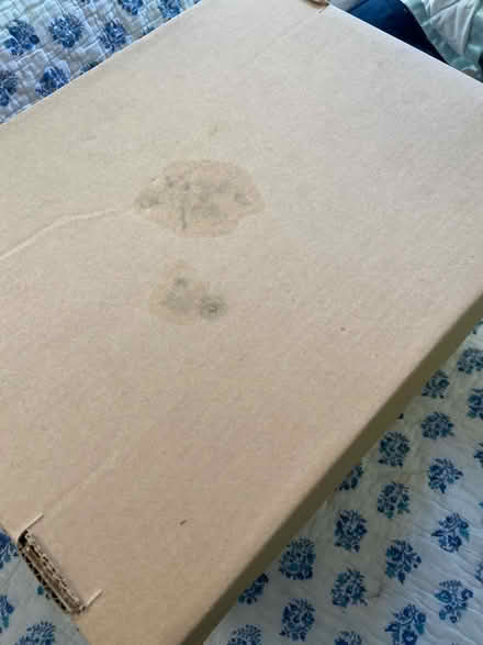 Photo of free boxes w/lids (takoma Park, MD) #4