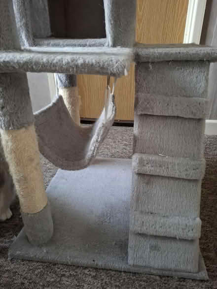 Photo of free Cat scratching posts (Cleehill SY8) #4