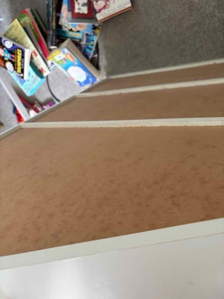 Photo of free Children’s bookshelf (Ba2 1) #2