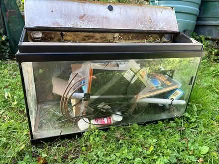 Photo of free Aquarium/viviparium (Crediton) #1