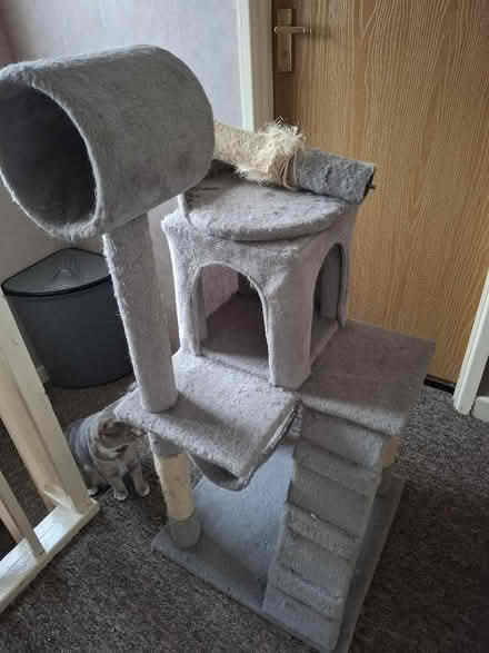 Photo of free Cat scratching posts (Cleehill SY8) #2