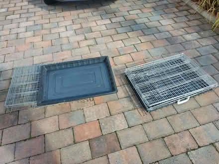 Photo of free Dog crates X2 (Allerton L15) #2