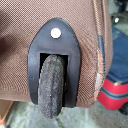 Photo of free Luggage bag (Crocodile ) (East) #3