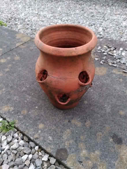 Photo of free Strawberry planter (Warton LA5) #1