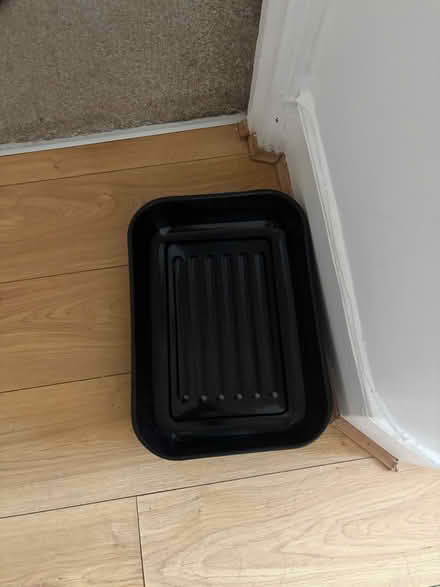 Photo of free Large baking tray (N17 - Bruce Grove) #1