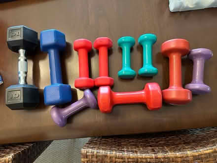 Photo of free Hand weights (Wattles and Squirrel) #1