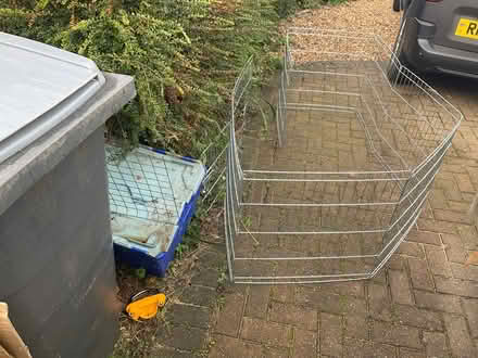 Photo of free Animal Run (Melksham Without SN12) #1