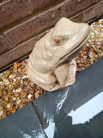 Photo of free Frog decorative ornament (LU7 Leighton Buzzard) #1