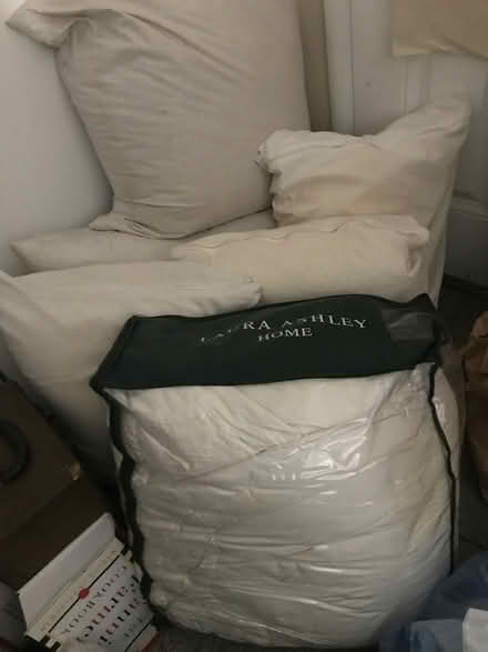 Photo of free Down comforter and pillows (San Anselmo near Andronico’s) #1