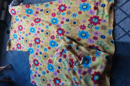 Photo of free 2 pieces of bright fleece fabric (Abingdon OX14) #1