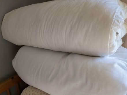 Photo of free King size duvets (Belper DE56) #1