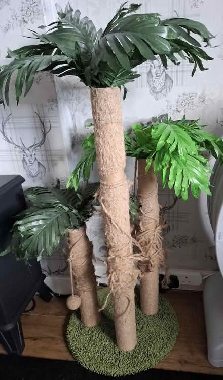 Photo of free Cat scratching posts (Cleehill SY8) #1