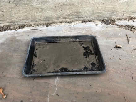 Photo of free Bonsai plant pot with tray (Essex Road N1) #3