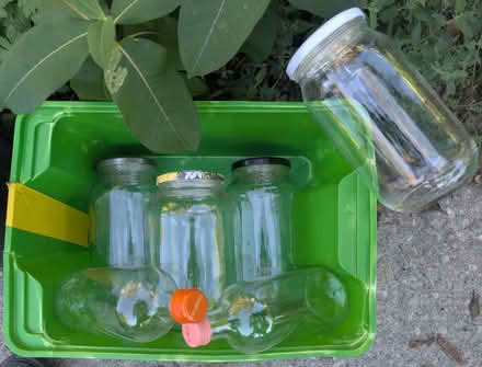 Photo of free Bottles (Brockton Village) #1